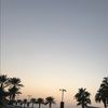 rachelb295